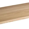 Null APS 84601 GN 1/1 Tablett -FRIDA- 53 X 32,5 Cm, H: 2 Cm 25
